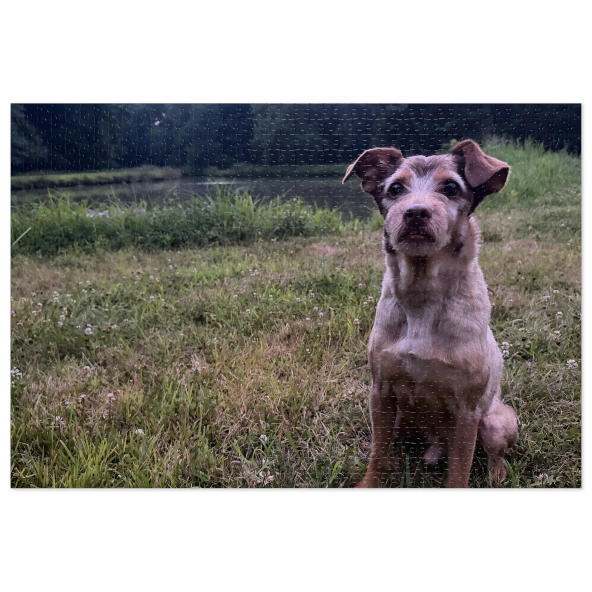 Copper